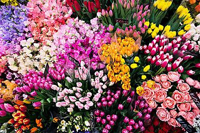 《星空》设计师回顾开发历程：连续两年我压力很大